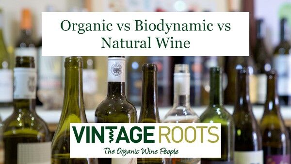 organic vs natural vs biodynamic wine
